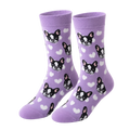 French Bulldog Cute Socks