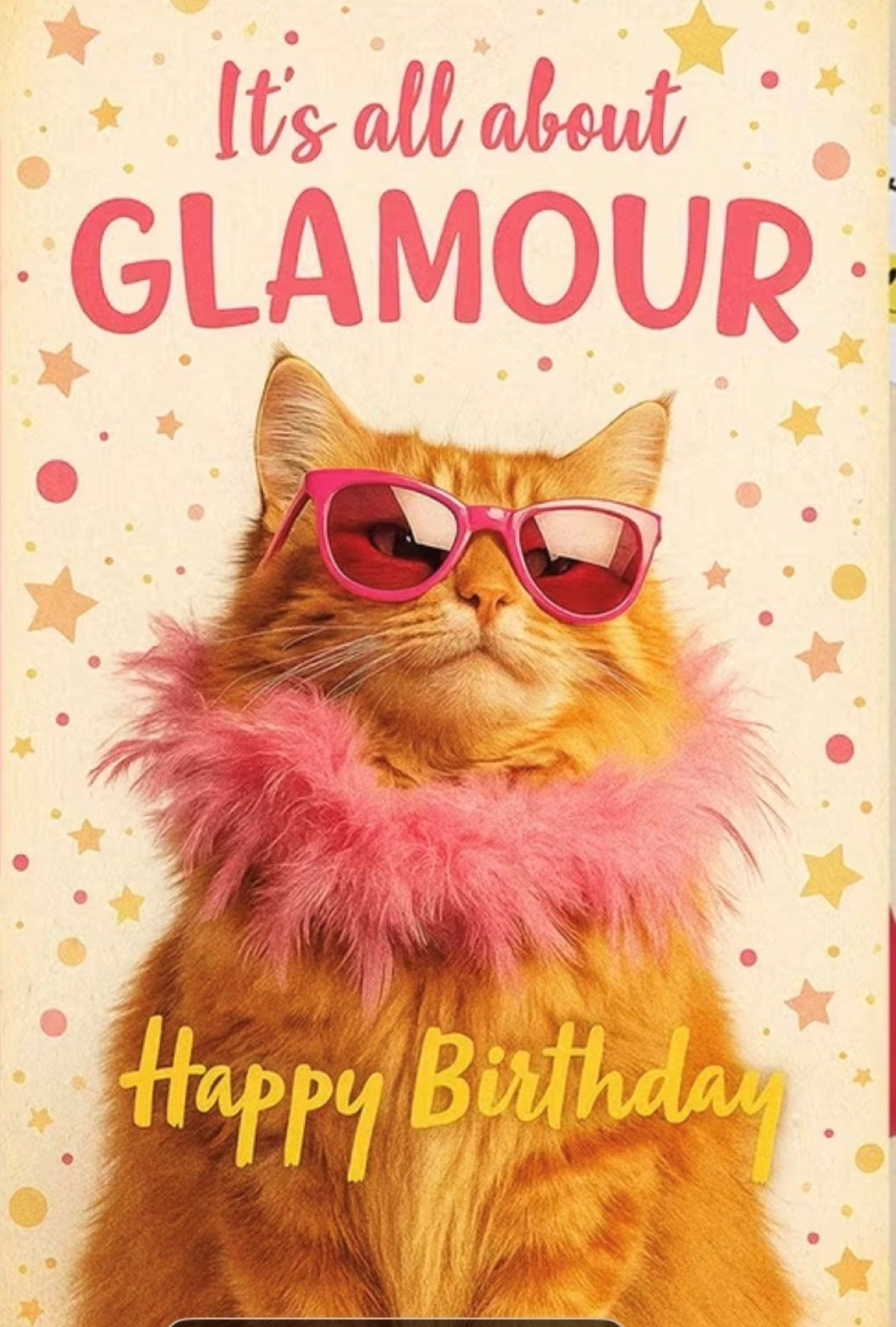 Happy Birthday Cat Card & Crazy Cat Lady Socks